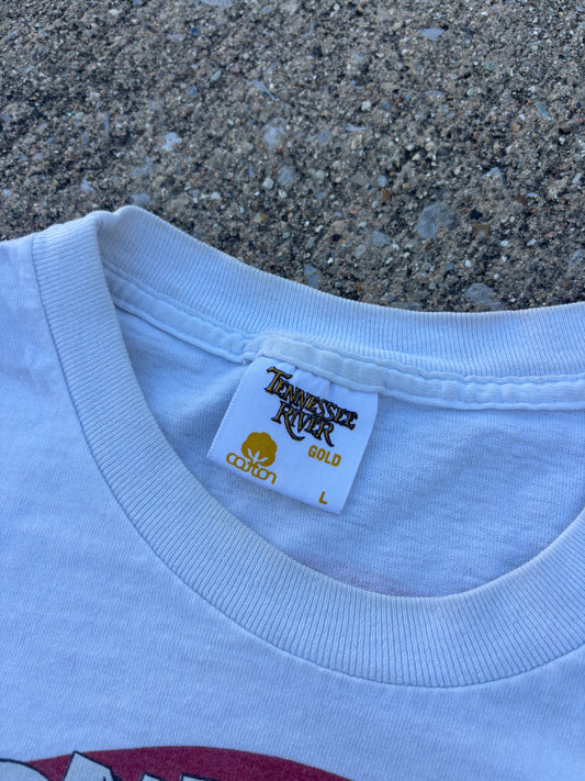 Looney Tunes Logo Breakthrough