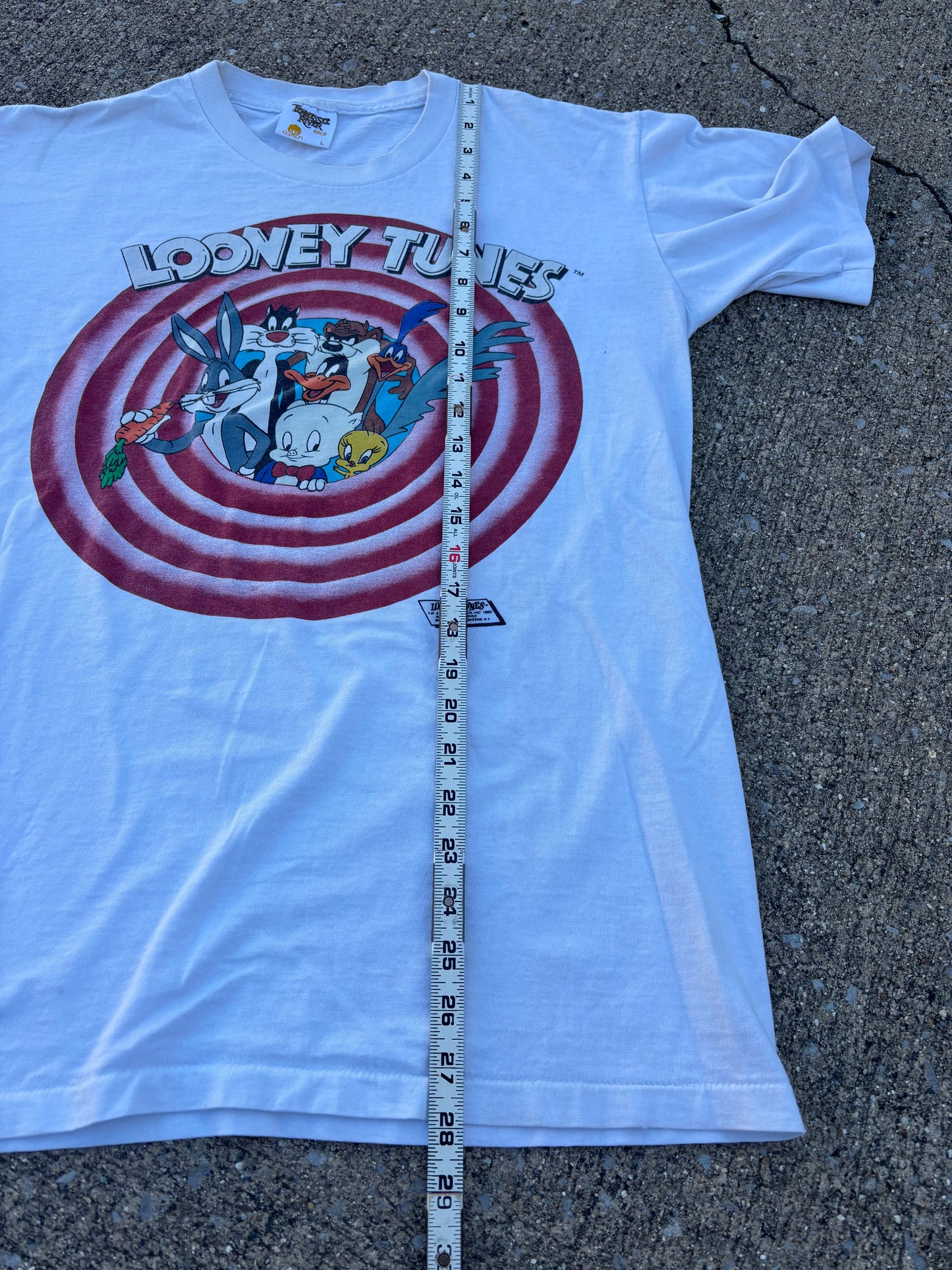 Looney Tunes Logo Breakthrough