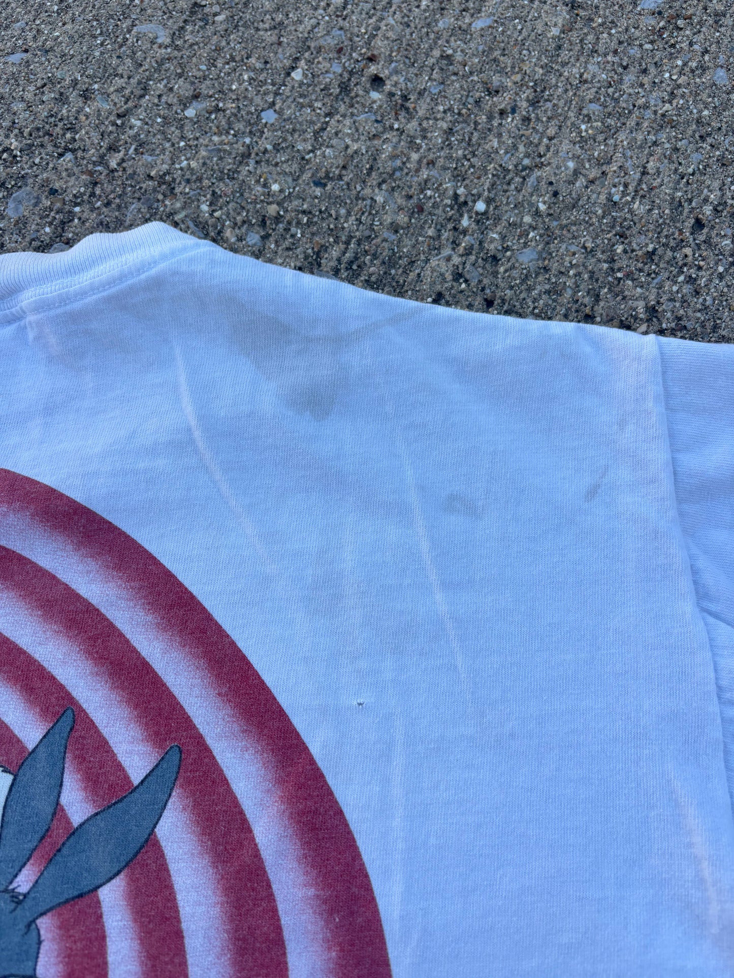 Looney Tunes Logo Breakthrough