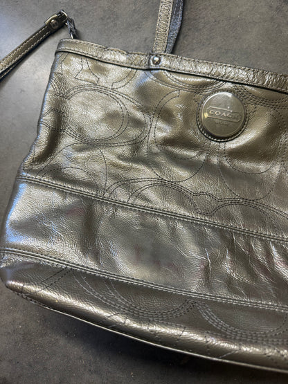 Metallic Coach