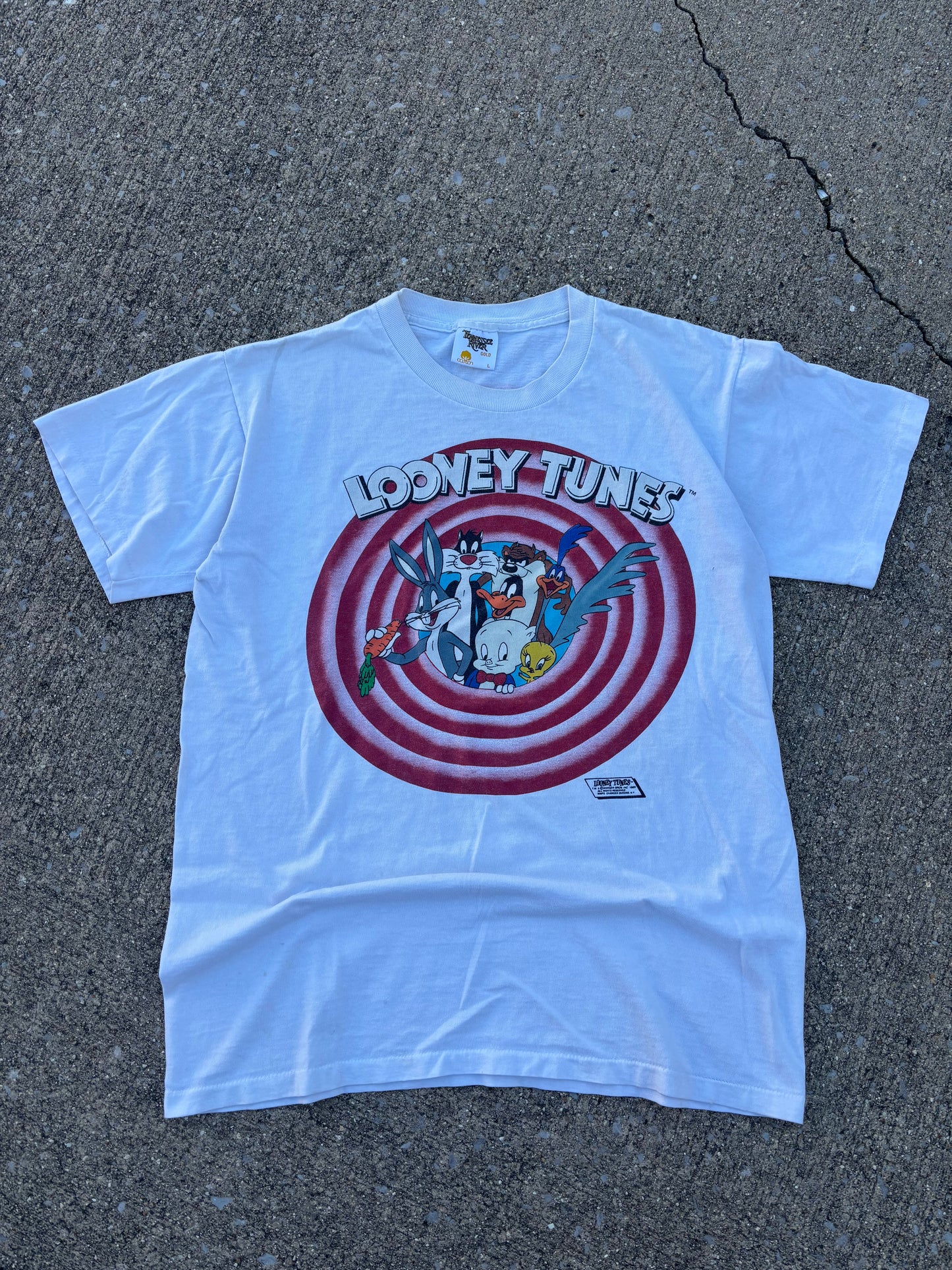 Looney Tunes Logo Breakthrough