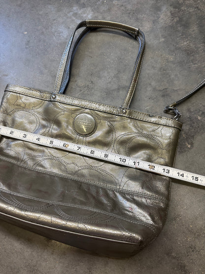 Metallic Coach