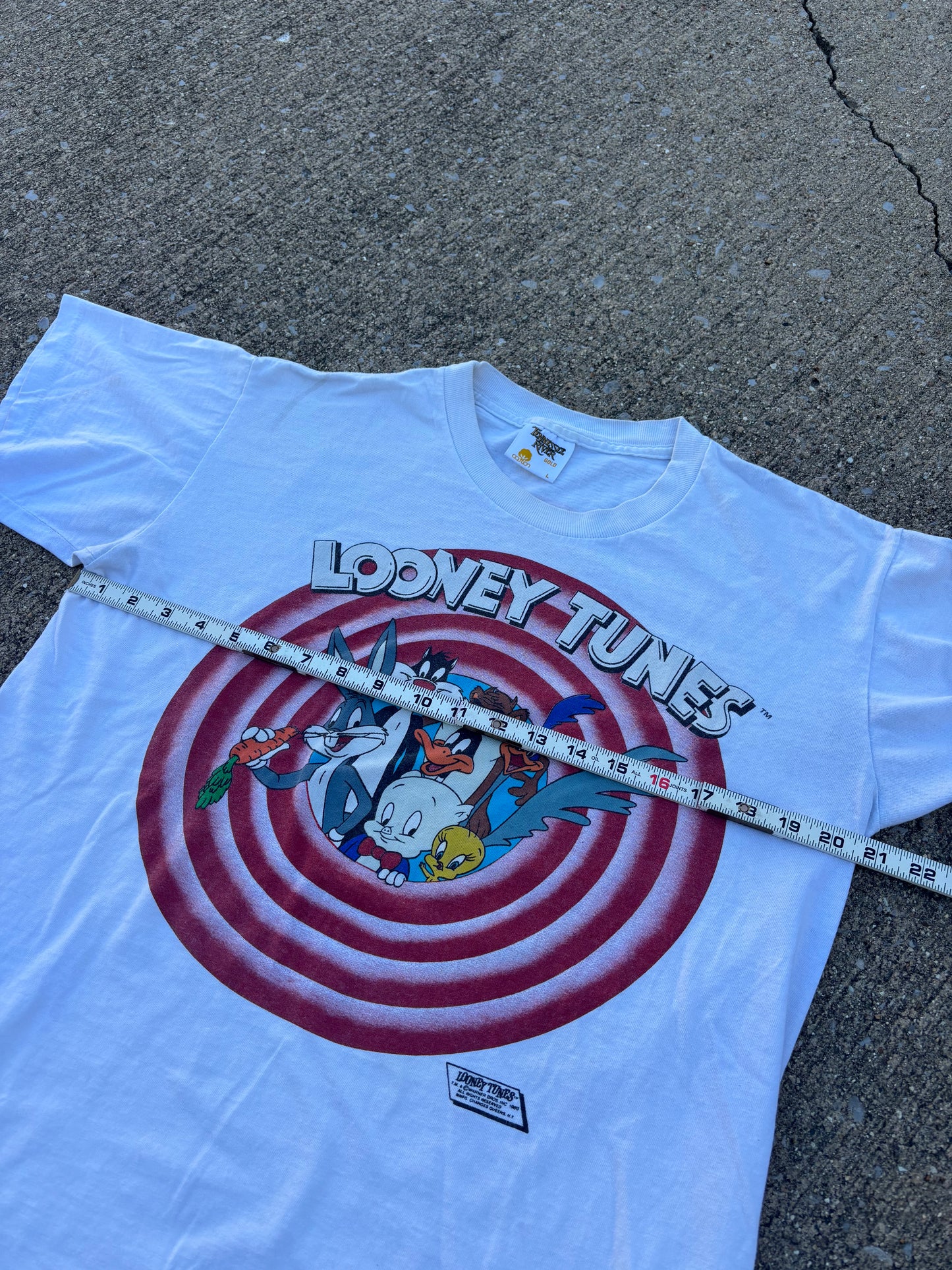 Looney Tunes Logo Breakthrough