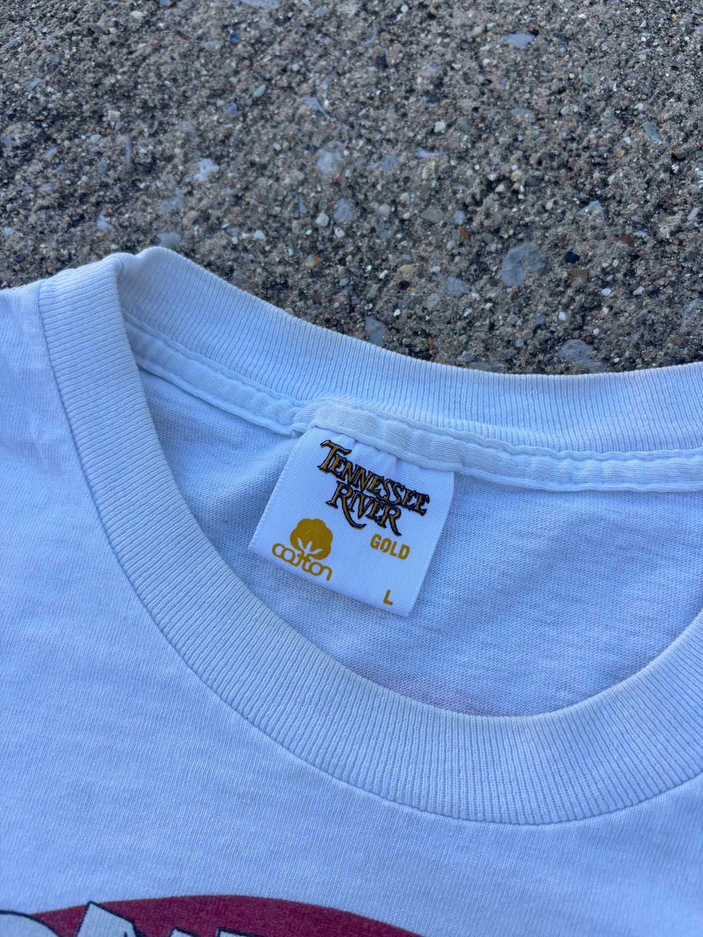 Looney Tunes Logo Breakthrough