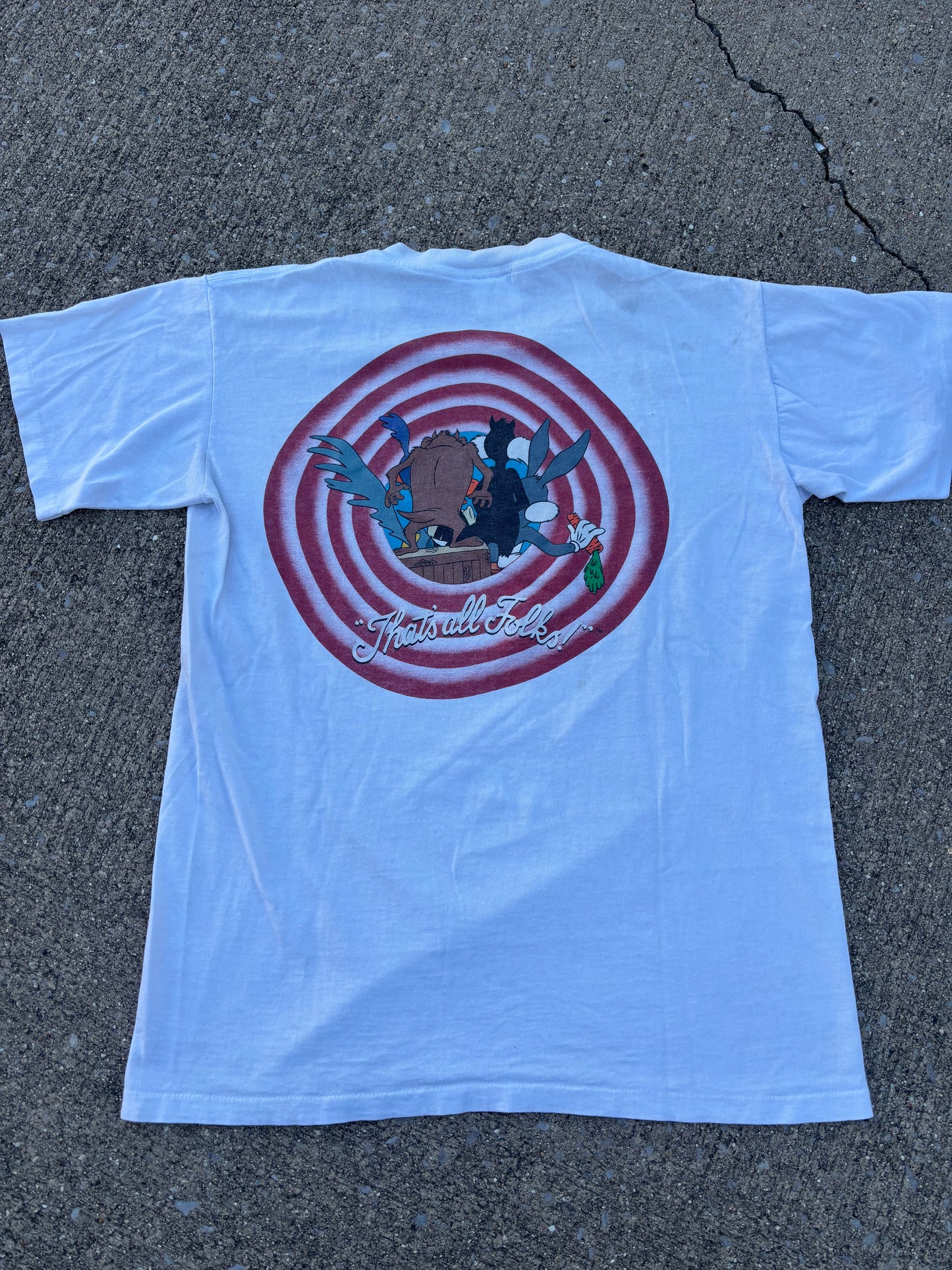 Looney Tunes Logo Breakthrough