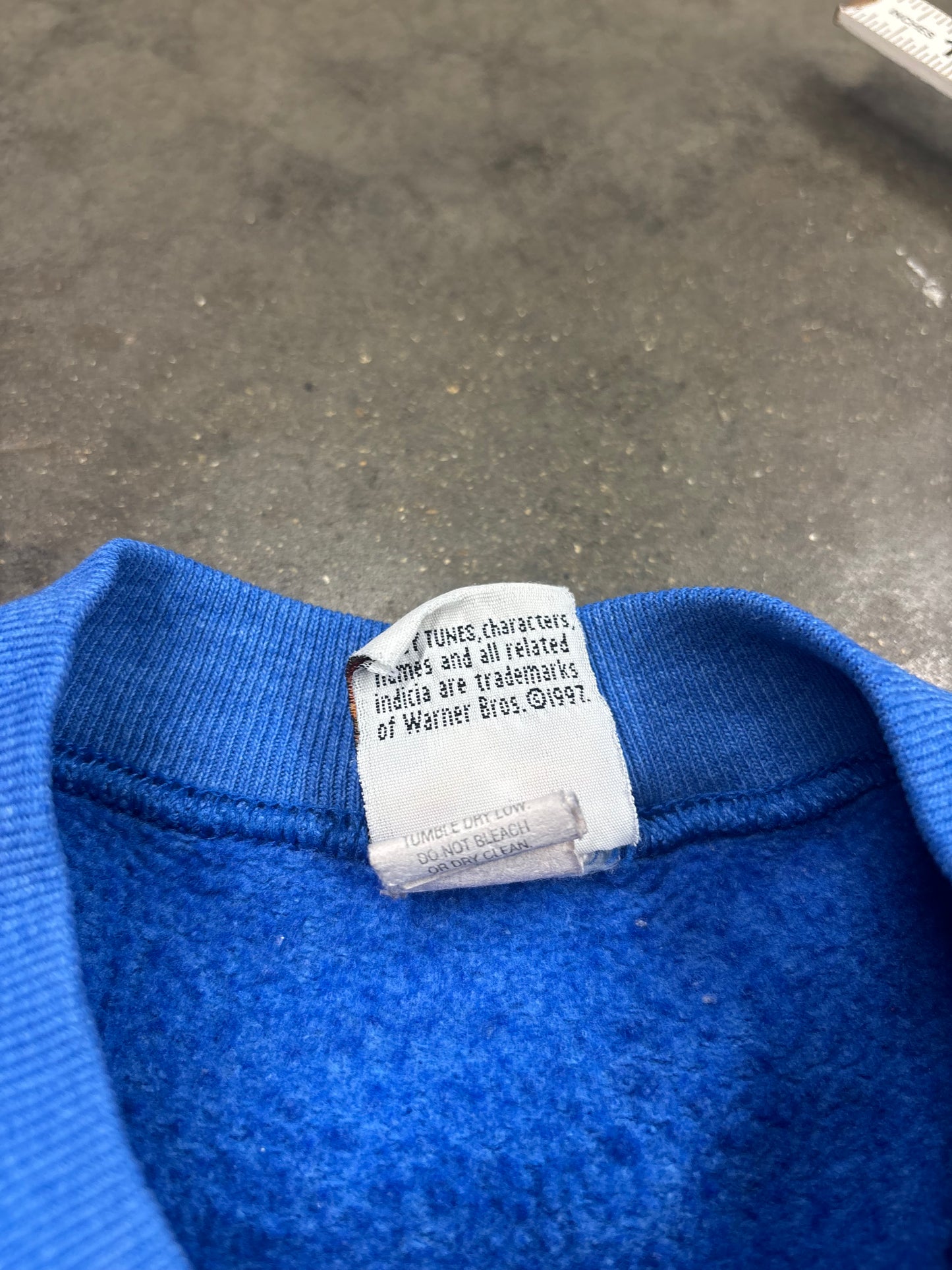 90’s Looney Tunes Tweety Blue Crewneck